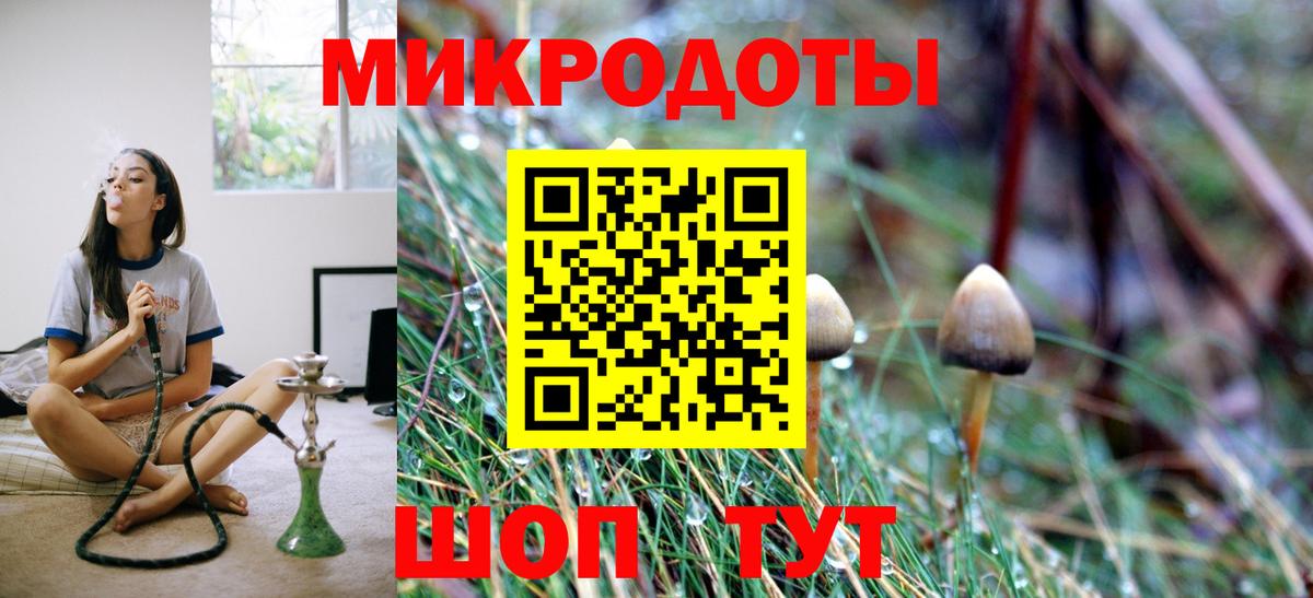 Чебаркуль  Галлюциногенные грибы Psilocybine cubensis  Псилоцибиновые грибы Cubensis  Вход с VPN 